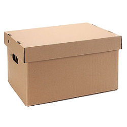 Caja de archivo Americana