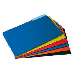 Carpeta Interna Nepaco color Carpeta Interna Nepaco color